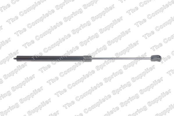 Gas Spring, bonnet 8056838