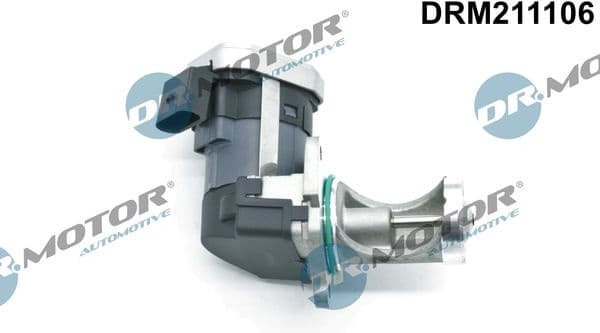 EGR Valve DRM211106
