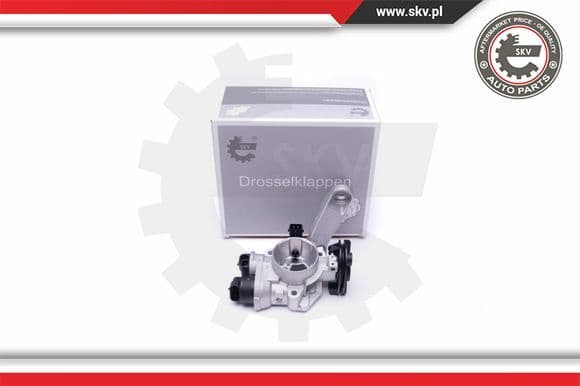 Throttle Body 12SKV082