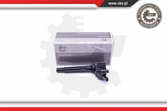 Ignition Coil 03SKV318