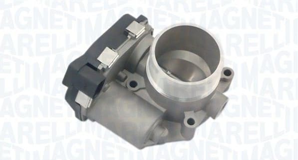 Throttle Body 802000000043