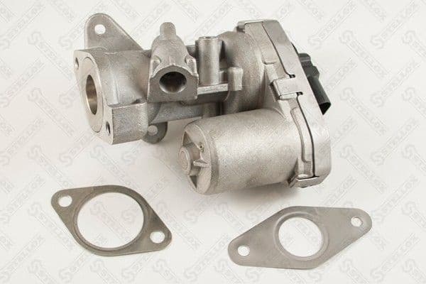 EGR Valve 01-25037-SX