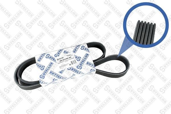 V-ribbed Belt 06-01195-SX