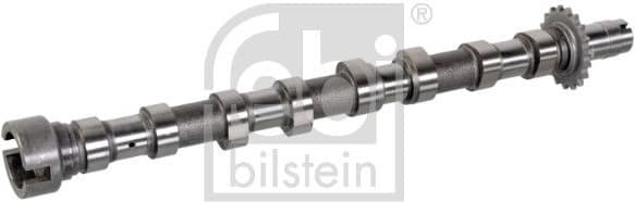 Camshaft 176294