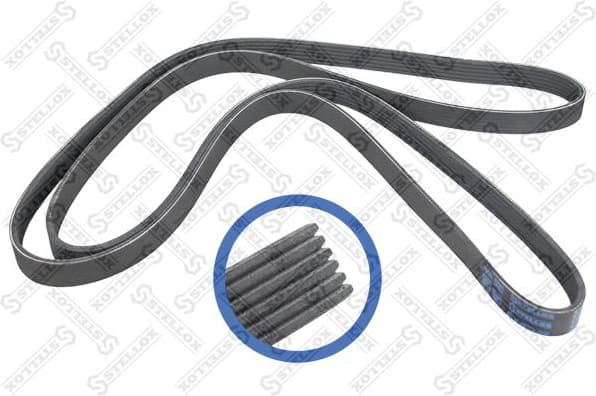 V-ribbed Belt 06-02400-SX