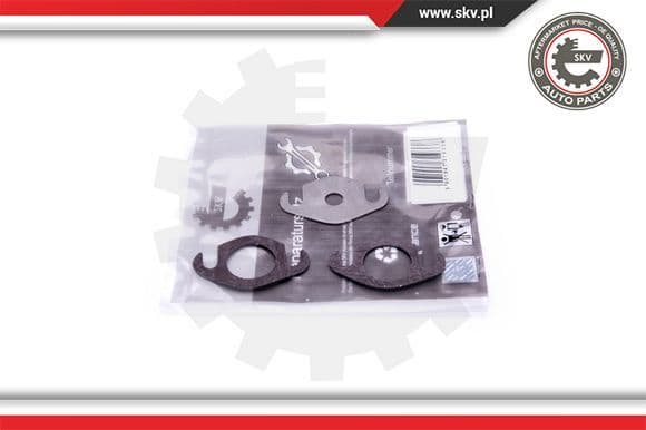 Repair Set, EGR valve 14SKV501