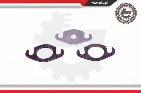 Repair Set, EGR valve 14SKV501 - image 2