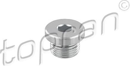 Screw Plug, automatic transmission casing 503 554