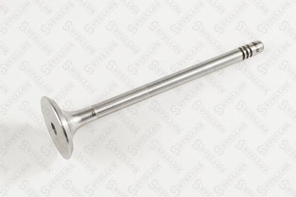Exhaust Valve 01-24343-SX