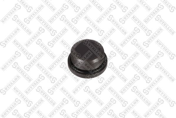 Screw Plug, axle drive 89-03103-SX