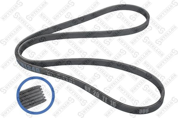 V-ribbed Belt 06-01840-SX