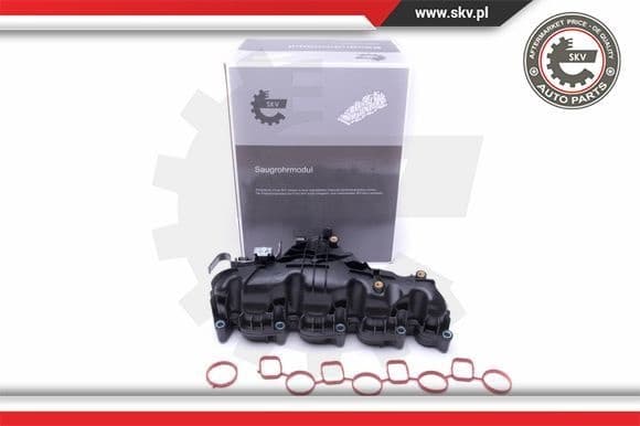 Intake Manifold Module 49SKV047