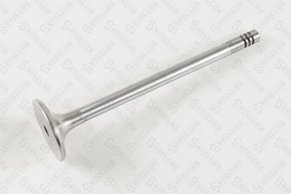 Intake Valve 01-24369-SX