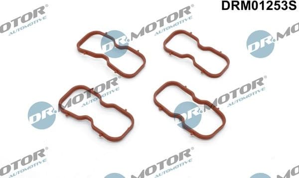 Gasket Set, intake manifold DRM01253S