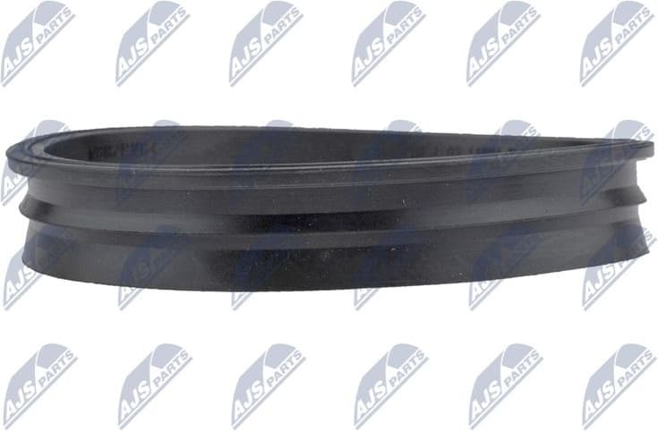 Gasket, fuel pump BPP-VW-007