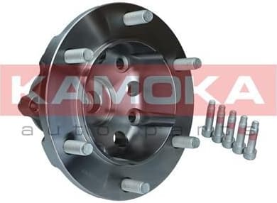 Wheel Bearing Kit 5500255