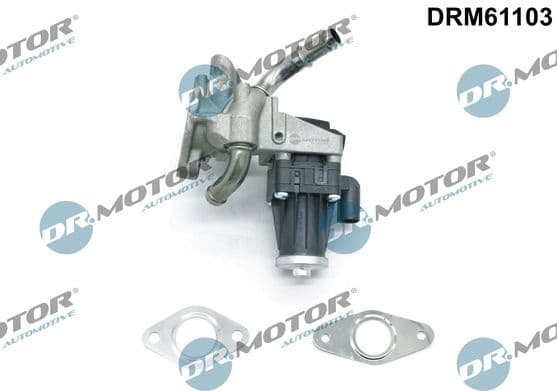 EGR Valve DRM61103