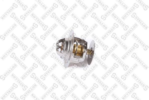 Thermostat, coolant 23-40161-SX