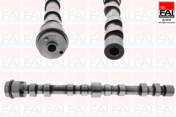 Camshaft C391