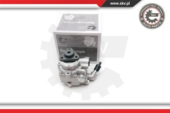 Hydraulic Pump, steering 10SKV194