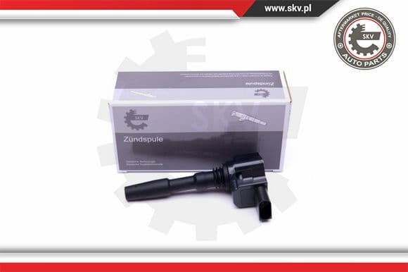 Ignition Coil 03SKV287