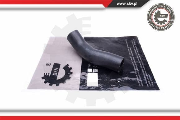 Charge Air Hose 43SKV264