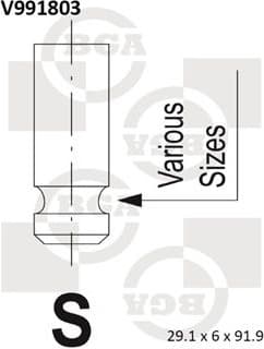 Intake Valve V991803