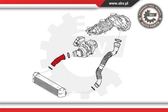 Charge Air Hose 24SKV861 - image 4