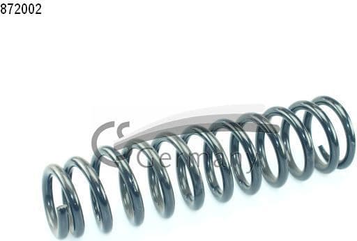 Suspension Spring 14872002