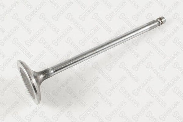 Intake Valve 01-24364-SX