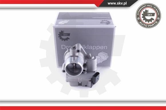 Throttle Body 12SKV090