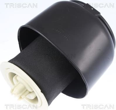 Air Spring, suspension 8720 11201