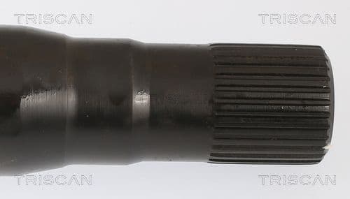 8530 23233 - image 4