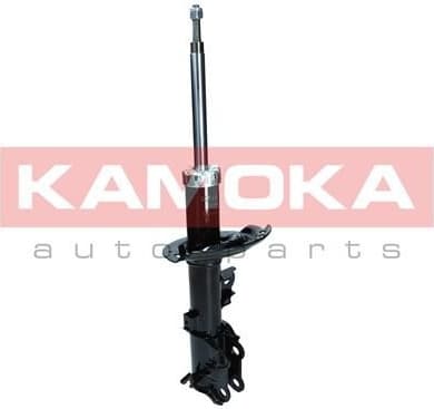 Shock Absorber 2000497