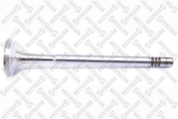 Exhaust Valve 01-24220-SX