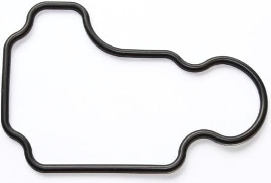 Gasket, crankcase ventilation 915.513