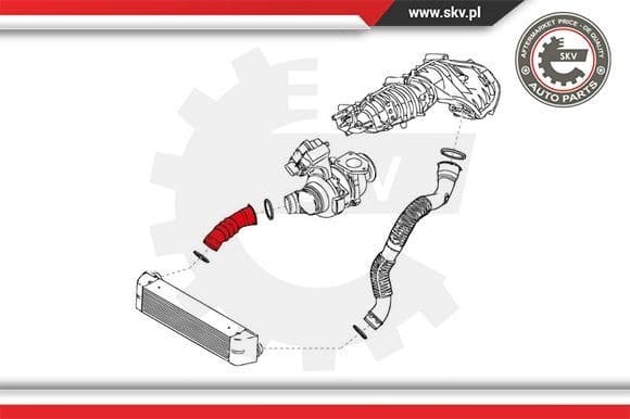 Charge Air Hose 24SKV984 - image 4
