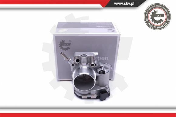 Throttle Body 12SKV098