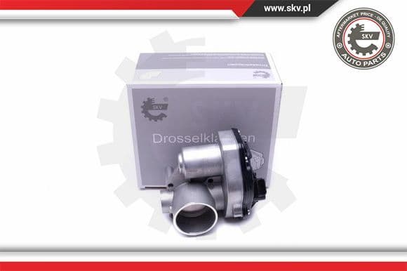 Throttle Body 12SKV092
