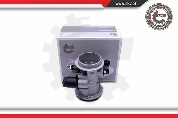 Throttle Body 12SKV101