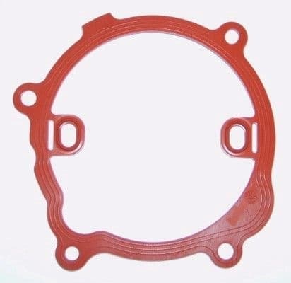 Gasket, water pump 575.440
