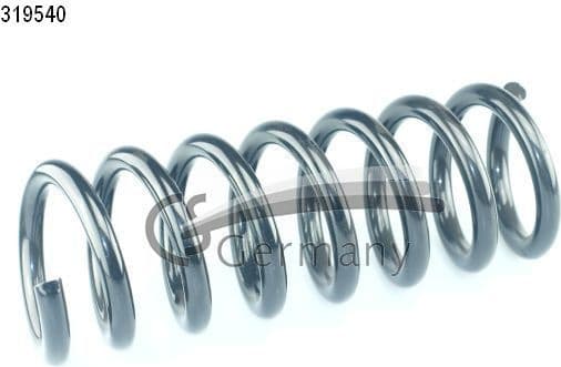 Suspension Spring 14319540