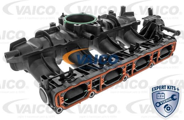 Intake Manifold Module EXPERT KITS + V103954