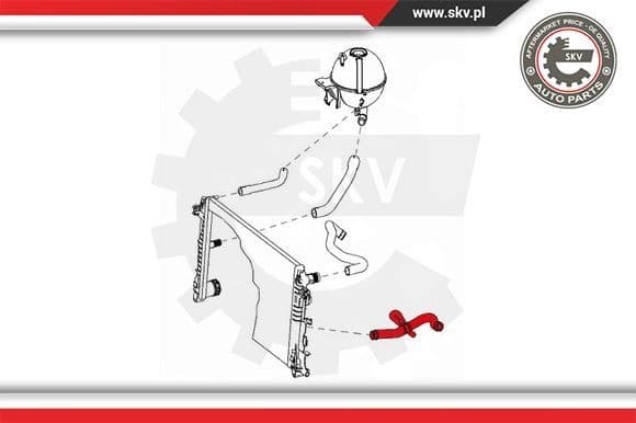 Radiator Hose 43SKV865 - image 4