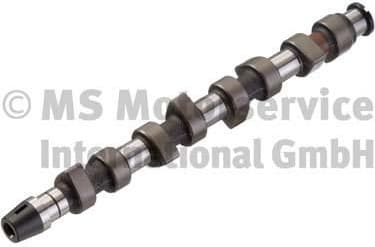 Camshaft 50006205