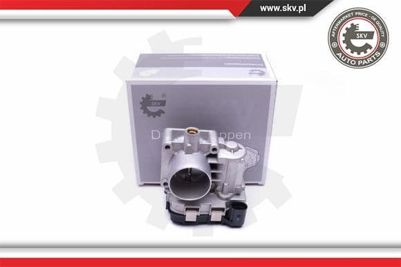 Throttle Body 12SKV077
