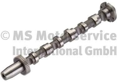 Camshaft 50007015
