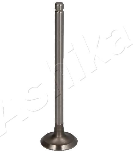 Exhaust Valve 15MI003