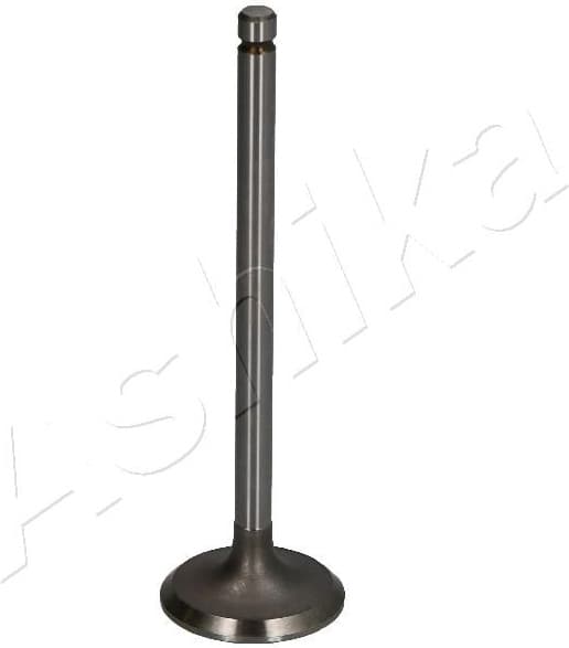 Intake Valve 15MI002