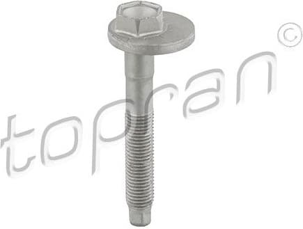 Camber Correction Screw 119 040